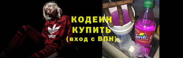 индика Балабаново