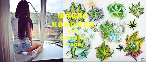 индика Балабаново
