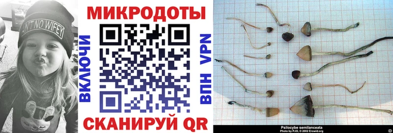 Галлюциногенные грибы Cubensis  наркота  Туймазы 